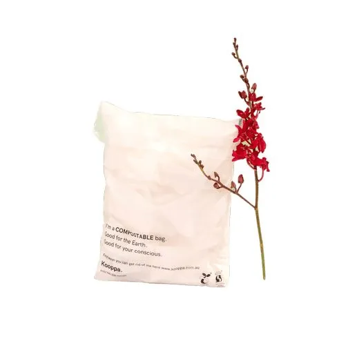 1000 X Clear Biodegradable Medium Mailer 250X340mm Compostable Bag Satchels