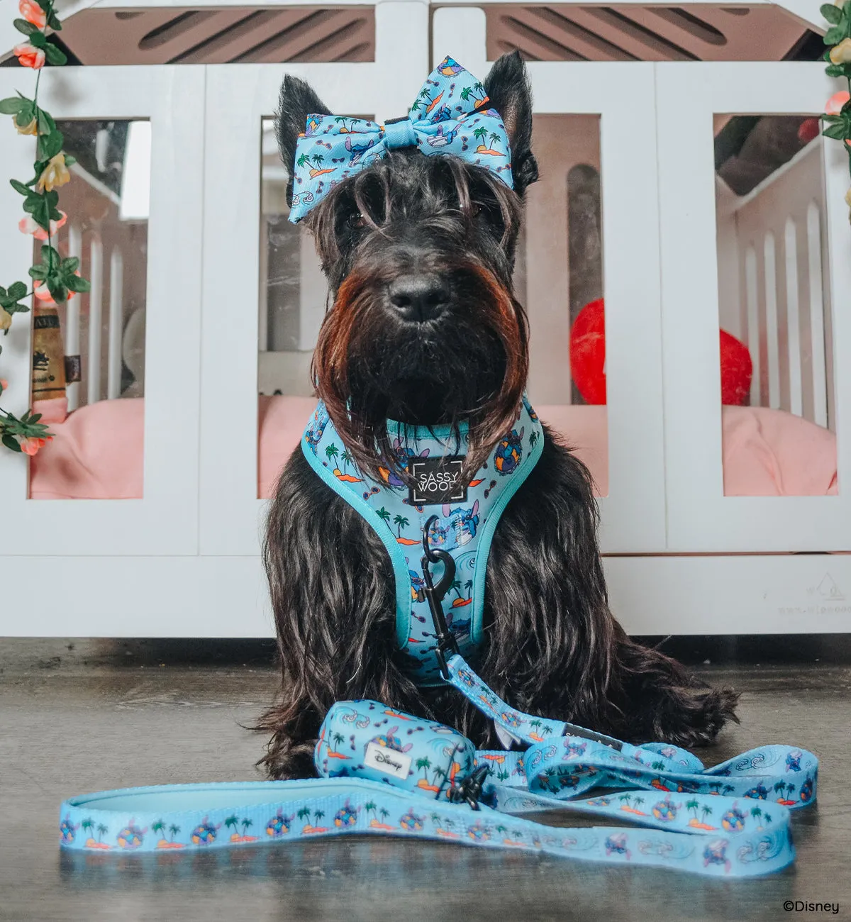Dog Leash - Disney's Stitch