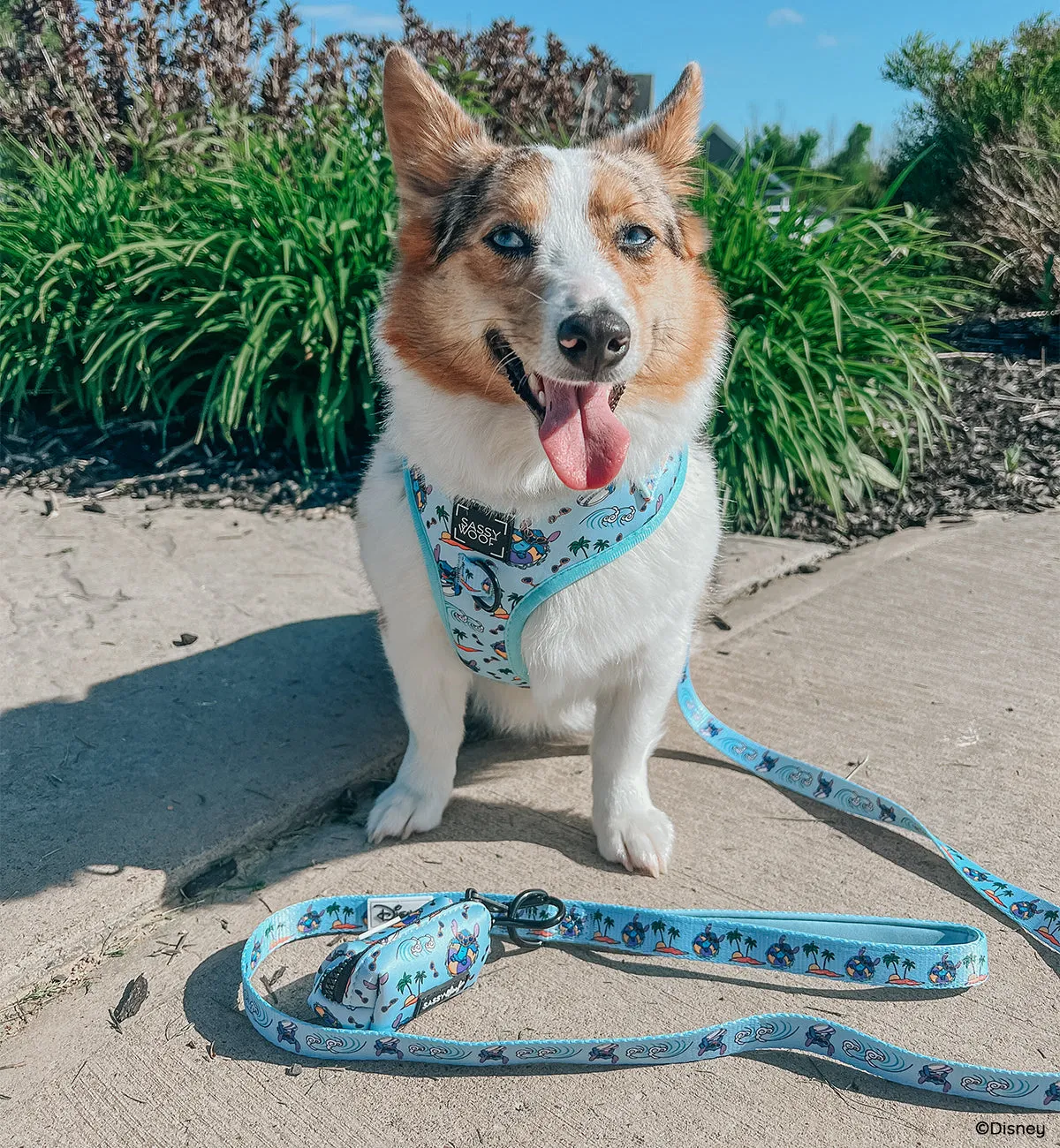 Dog Leash - Disney's Stitch