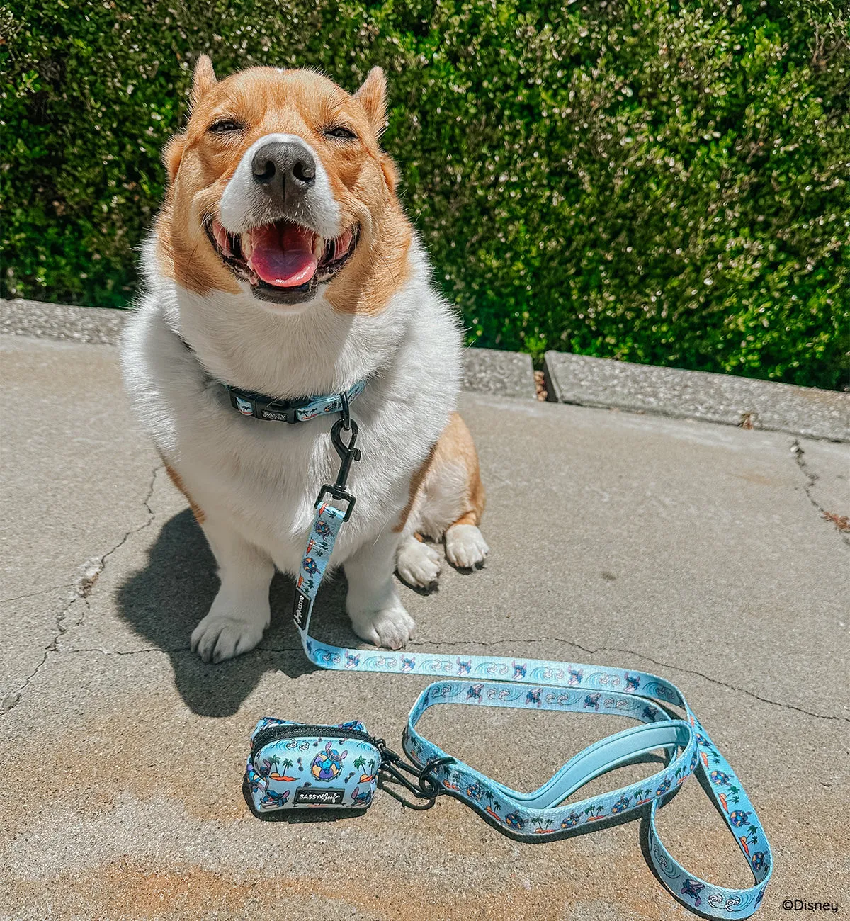 Dog Leash - Disney's Stitch