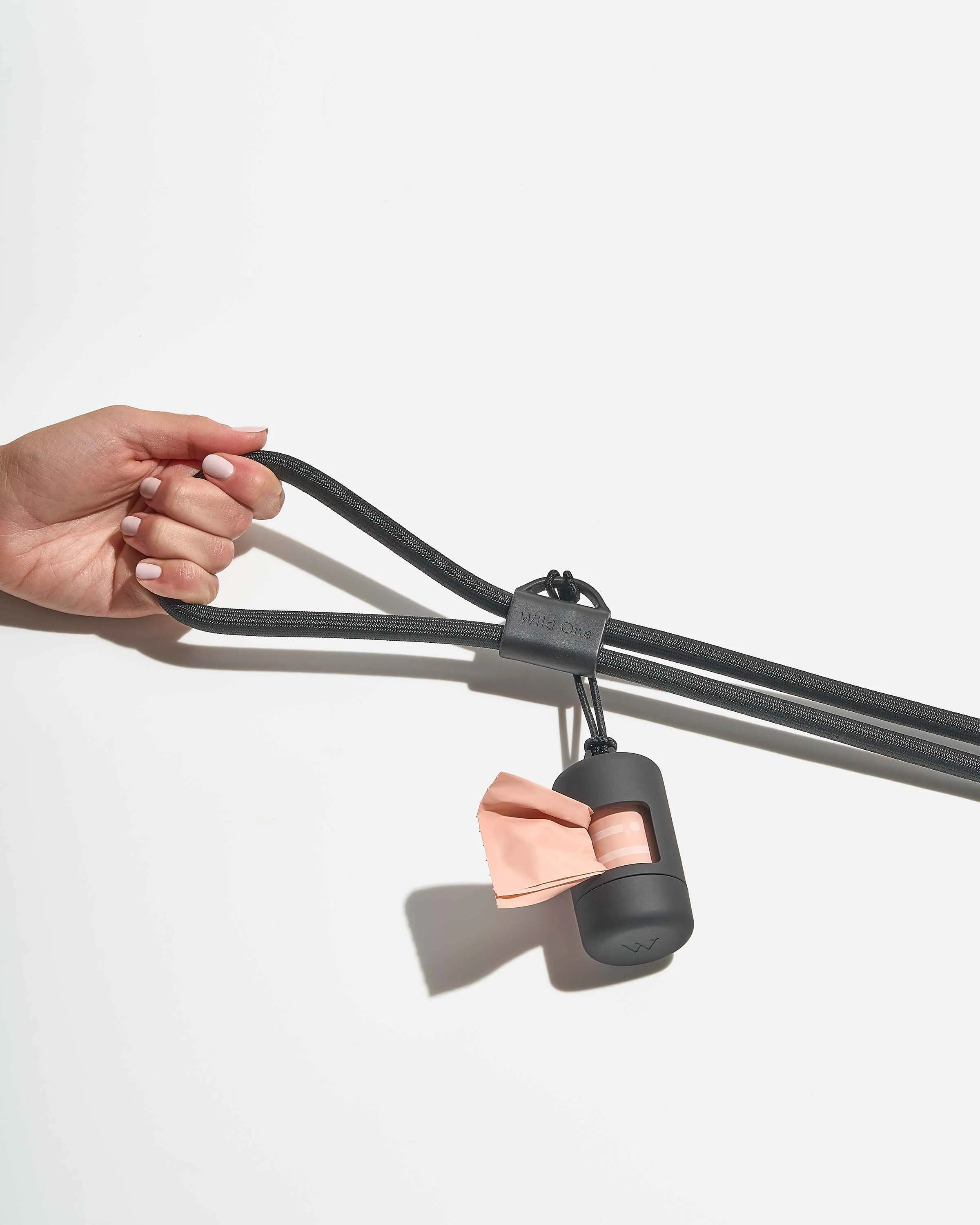 Hands-Free Collar Walk Kit