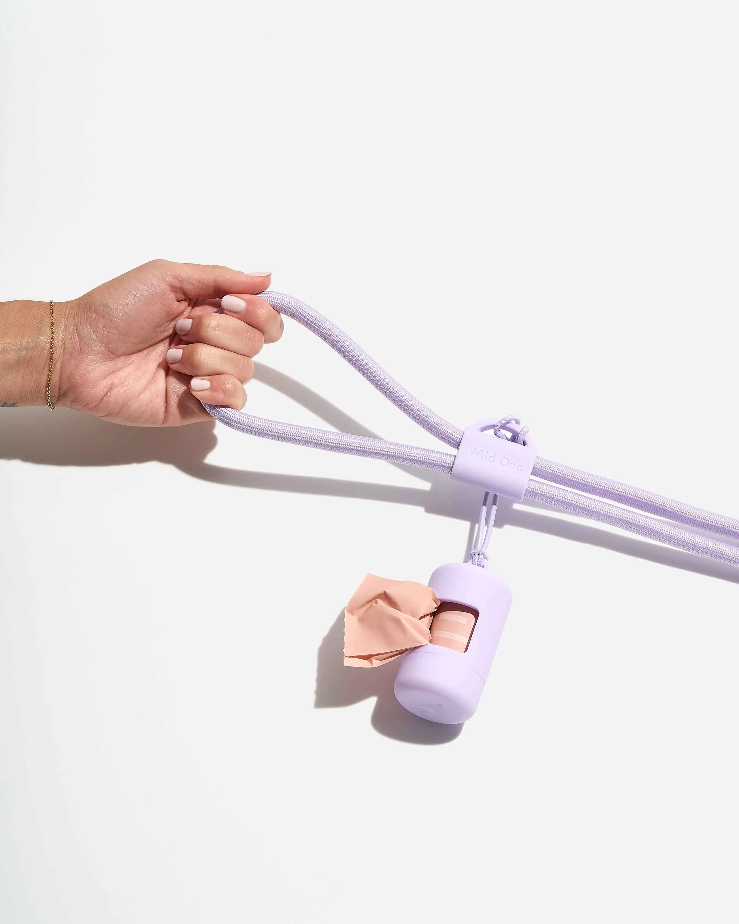 Hands-Free Collar Walk Kit