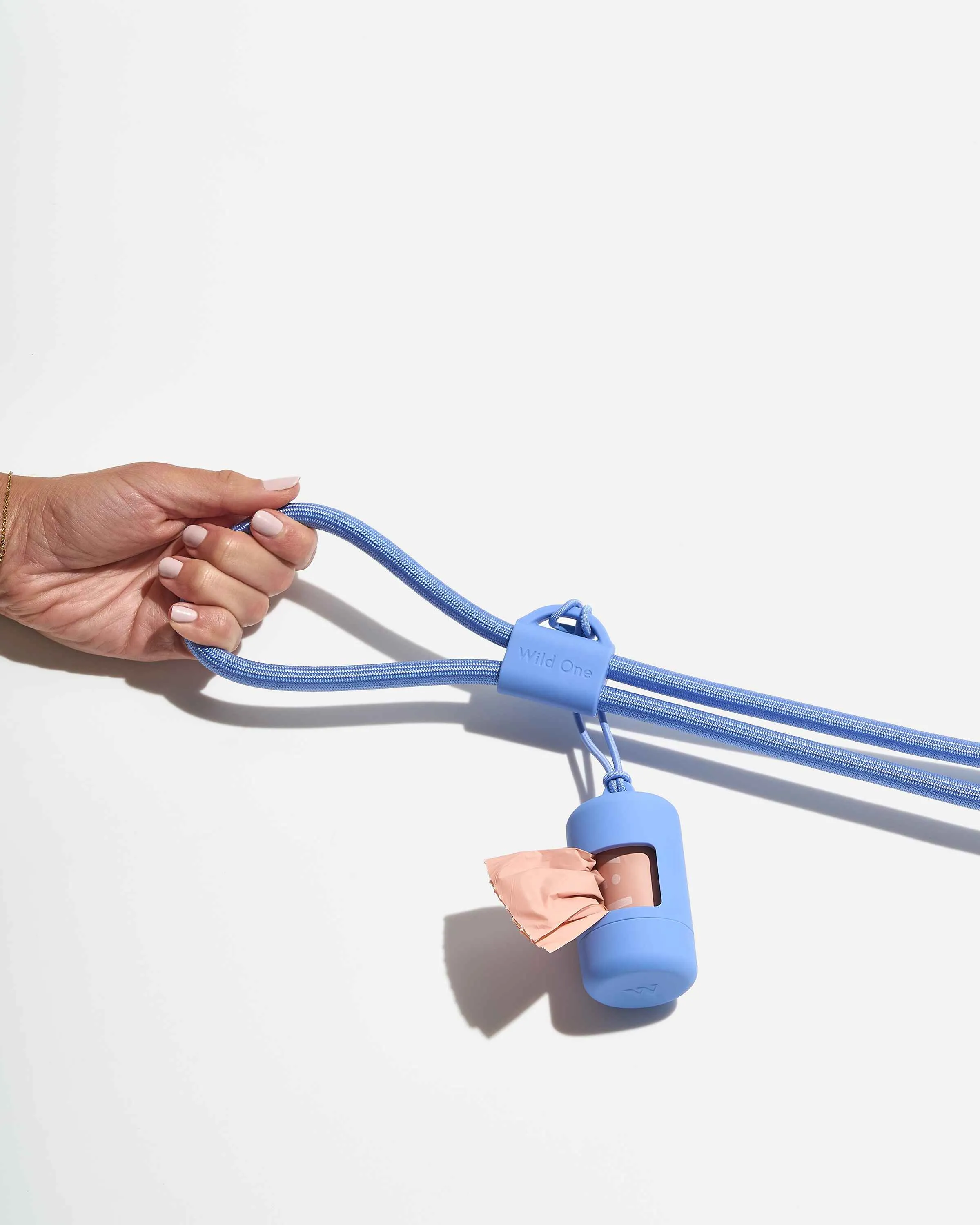 Hands-Free Collar Walk Kit