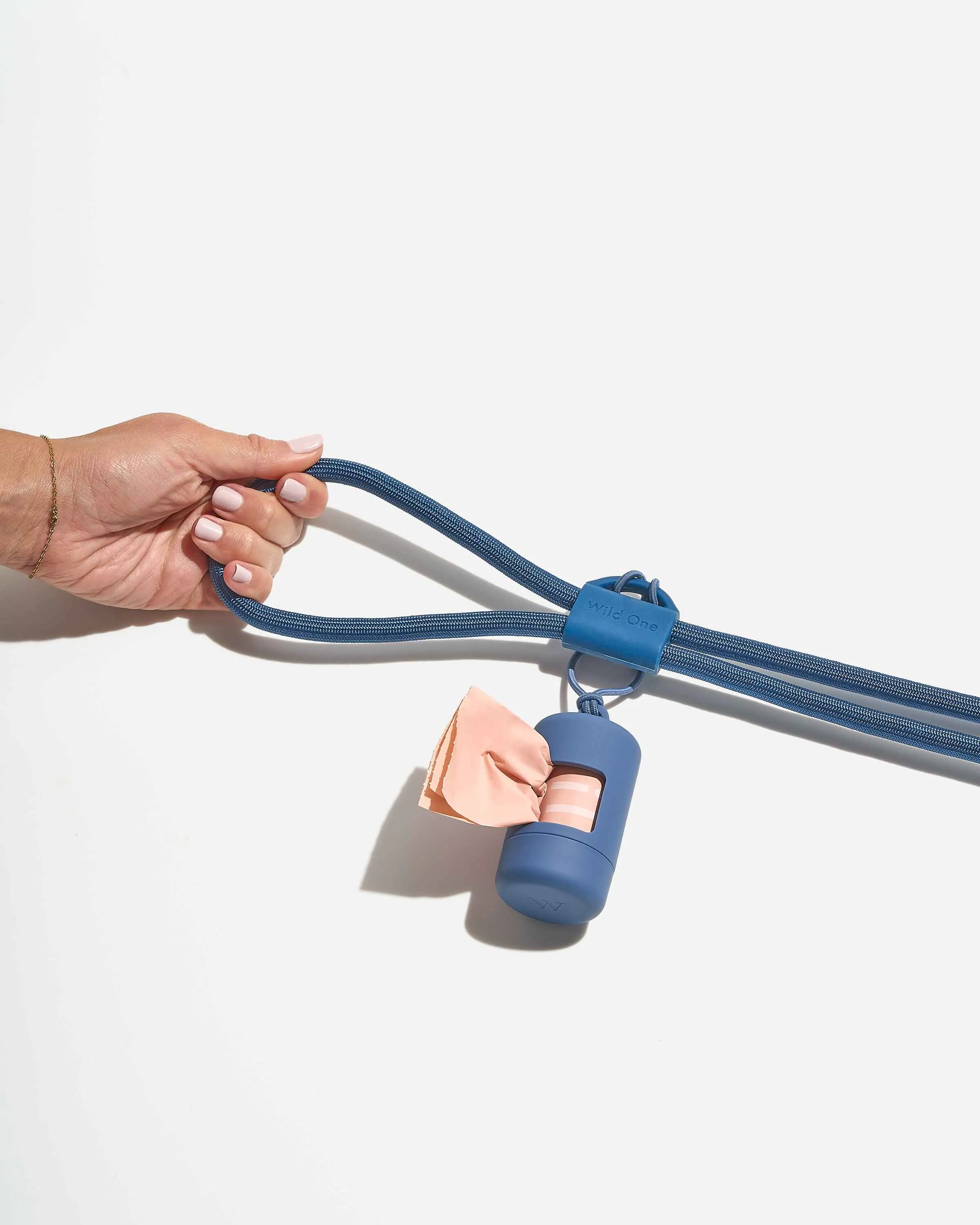 Hands-Free Collar Walk Kit