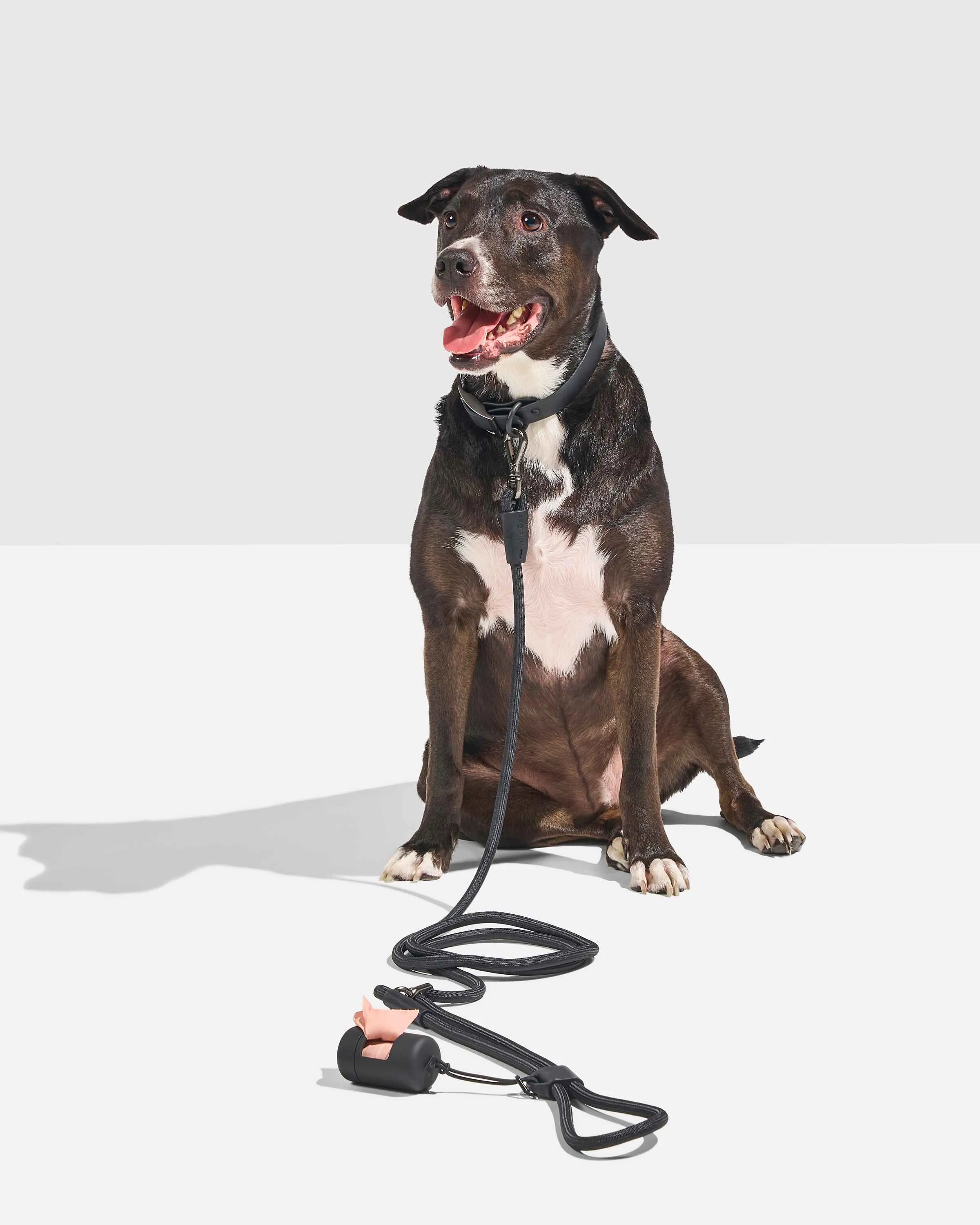 Hands-Free Collar Walk Kit