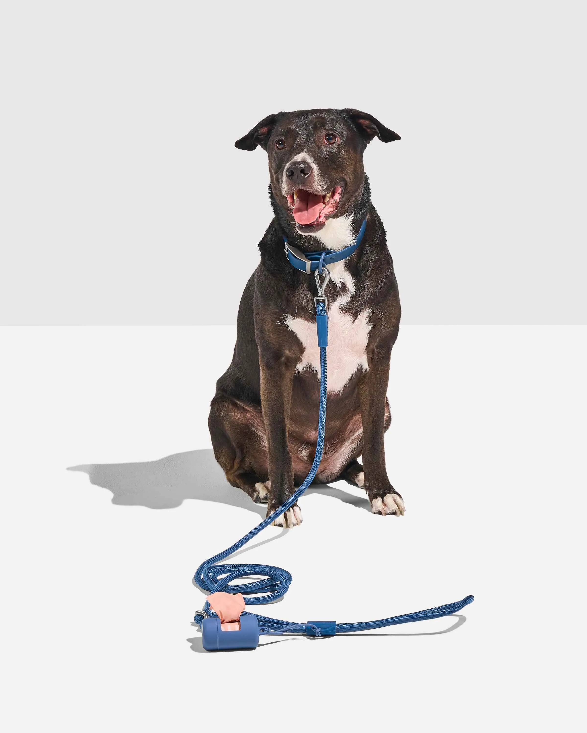Hands-Free Collar Walk Kit