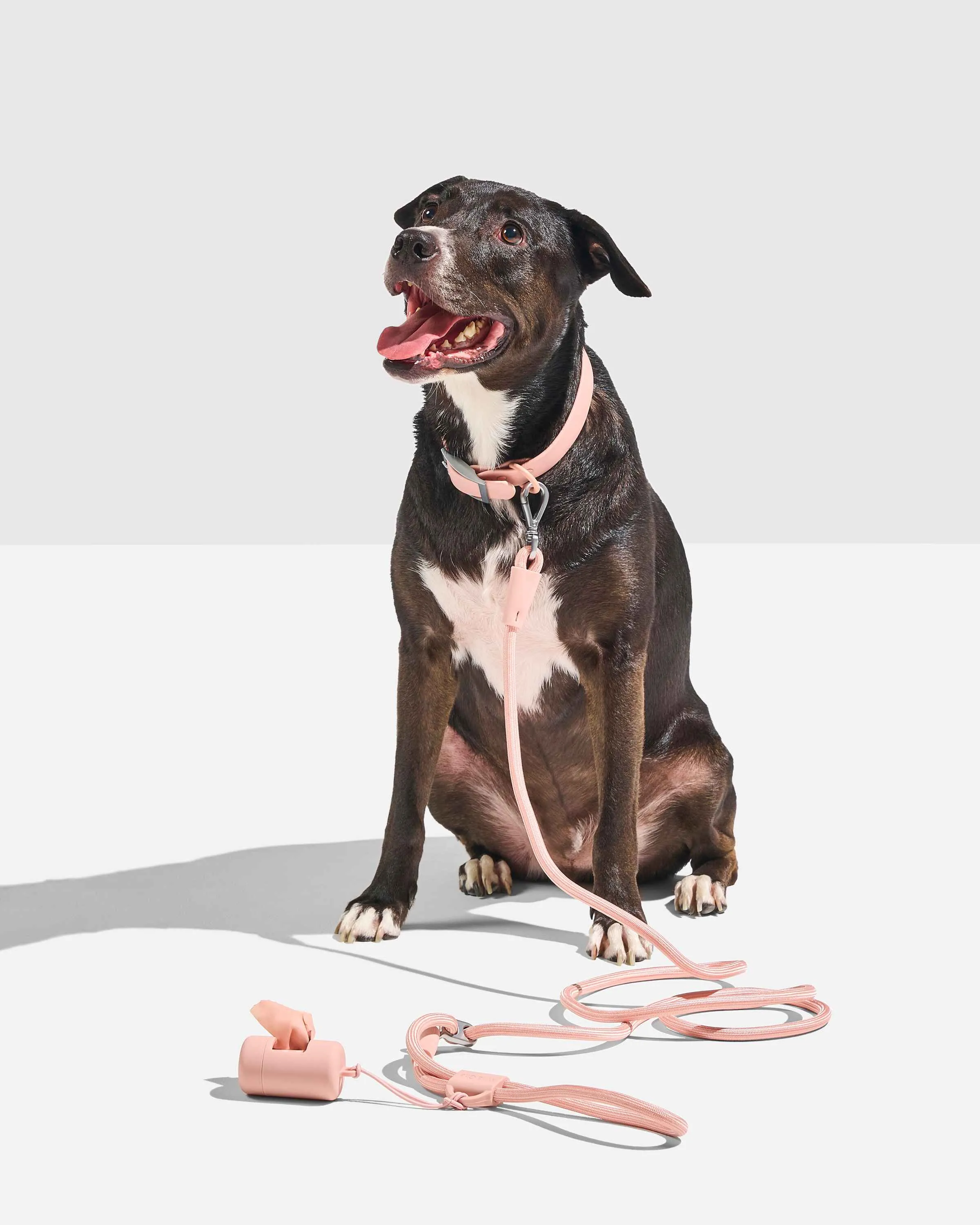 Hands-Free Collar Walk Kit