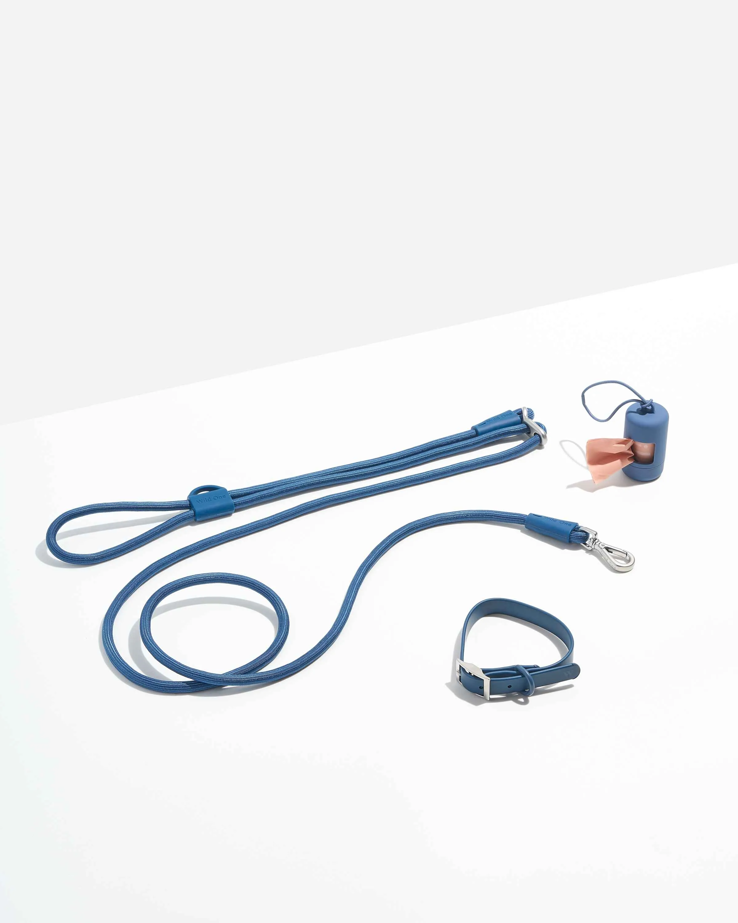 Hands-Free Collar Walk Kit